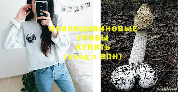 мдма Дмитриев