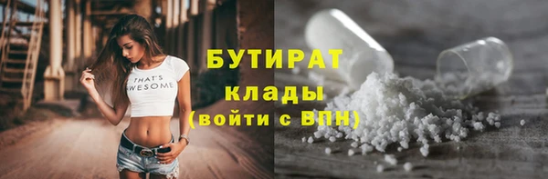 дмт Дмитров