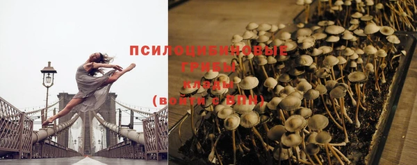 винт Дмитровск