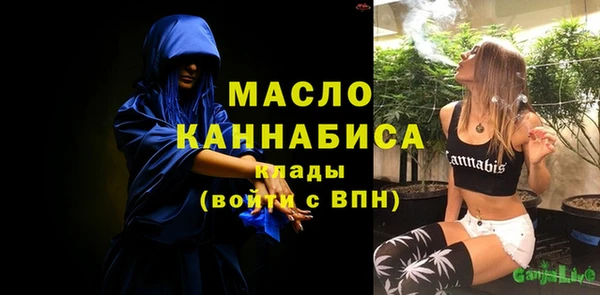 дмт Дмитров